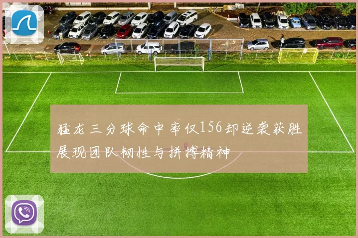 猛龙三分球命中率仅156却逆袭获胜展现团队韧性与拼搏精神